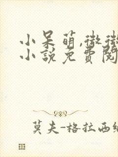 小呆萌,微微甜小说免费阅读