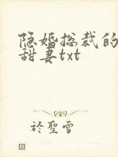 隐婚总裁的绯闻甜妻txt