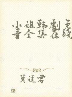 小姐韩剧免费观看全集在线高清