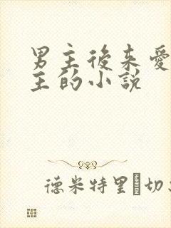 男主后来爱上女主的小说