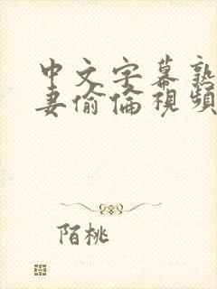 中文字幕熟女人妻偷伦视频