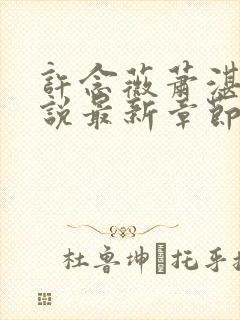 许念薇萧湛明小说最新章节免费阅读封面