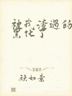 被我渣过的反派黑化了