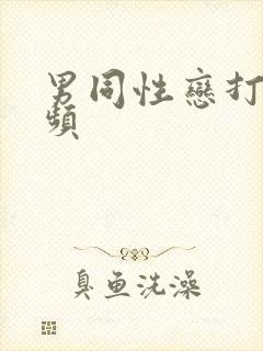 男同性恋打炮视频封面