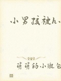 小男孩被h小说