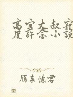 高官大叔宠妻无度许念小说