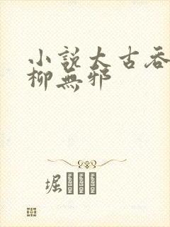 小说太古吞天诀柳无邪