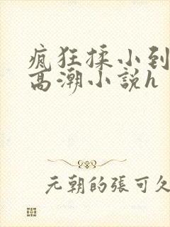 疯狂揉小到失禁高潮小说h