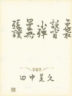 张曼小说免费阅读无弹窗最新章节