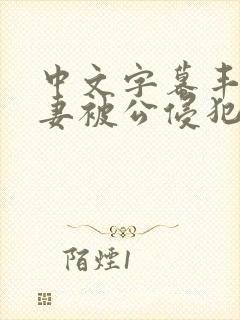 中文字幕丰满人妻被公侵犯封面