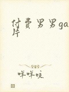 付费男男gay片封面