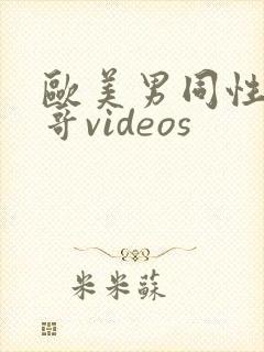 欧美男同性恋帅哥videos封面