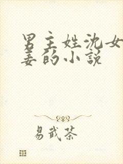 男主姓沈女主姓姜的小说