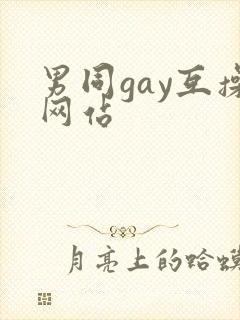 男同gay互操网站
