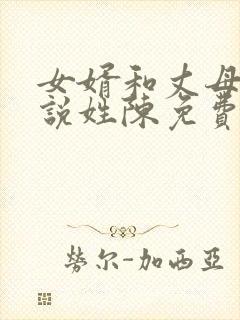 女婿和丈母娘小说姓陈免费阅读封面