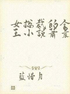 女总裁的全能兵王小说萧晨