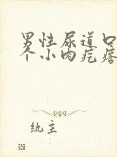 男性尿道口内长个小肉疙瘩是怎么回事