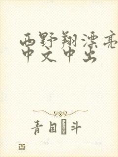 西野翔漂亮人妻中文中出封面