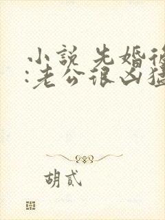 小说 先婚后爱:老公很凶猛