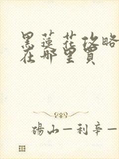 黑莲花攻略手册在哪里买