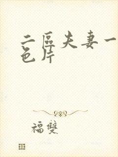 二区夫妻一级黄色片