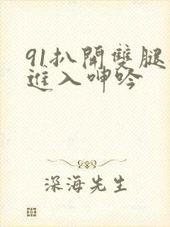 91扒开双腿猛进入呻吟封面