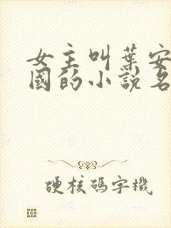 女主叫叶安叶卫国的小说名字