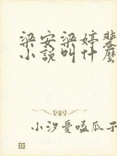 梁安梁婷裴拥川小说叫什么名字