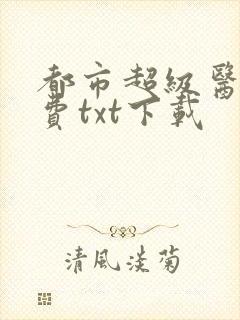 都市超级医圣免费txt下载封面