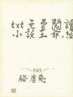 txt免费阅读小说王爷,您今天后悔了吗
