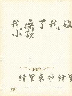 我操了我姐姐的小说封面