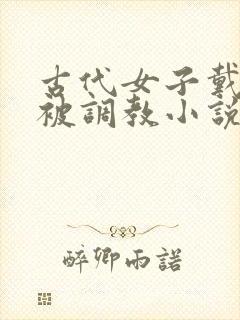 古代女子戴贞锁被调教小说封面