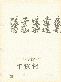 孩子咳黄痰是细菌感染还是病毒感染