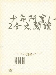 少年阿宾1一72全文阅读