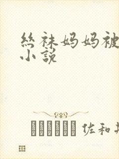 丝袜妈妈被我操小说封面