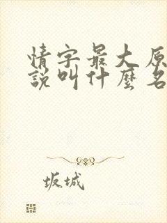 情字最大原著小说叫什么名字啊