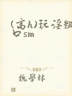 (高h)玩淫粗口sm