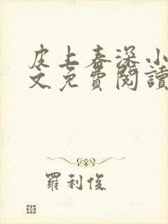 皮上春深小说全文免费阅读