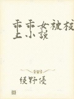 乖乖女被校霸盯上小说