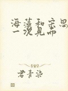 海藻和宋思明第一次见面