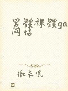 男体裸体gay网站