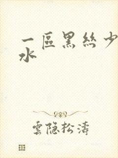 一区黑丝少妇喷水