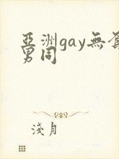 亚洲gay无套男同