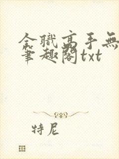 全职高手无弹窗笔趣阁txt封面