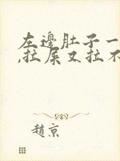 左边肚子一直疼,拉屎又拉不出