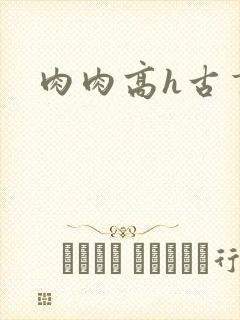 肉肉高h古言封面