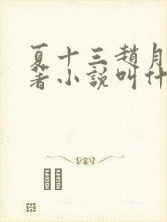 夏十三赵月荣原著小说叫什么名字
