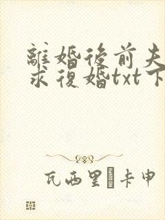 离婚后前夫哭着求复婚txt下载完本