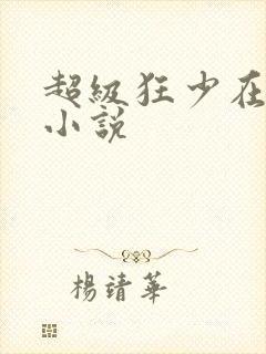 超级狂少在都市小说