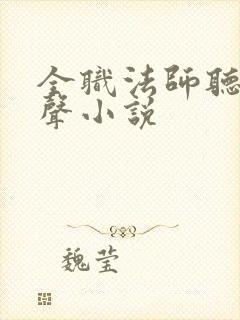 全职法师听书有声小说